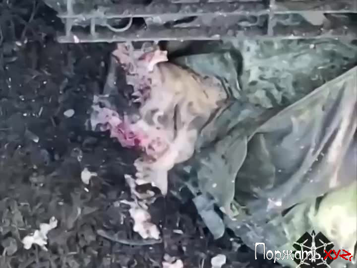 Drone Takes Head Off