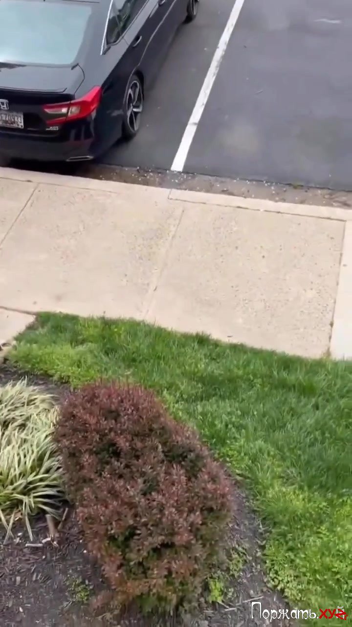 Woman Shot & Killed By Ex At Apartment Complex